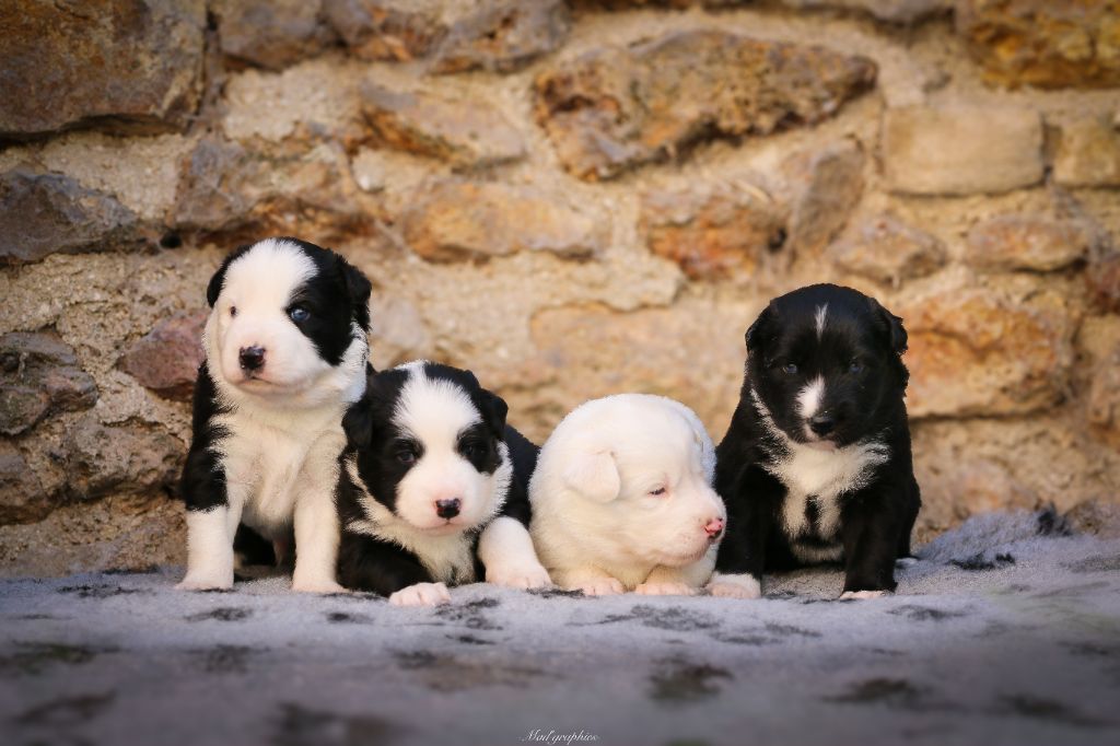 Naissance 18/08/2025